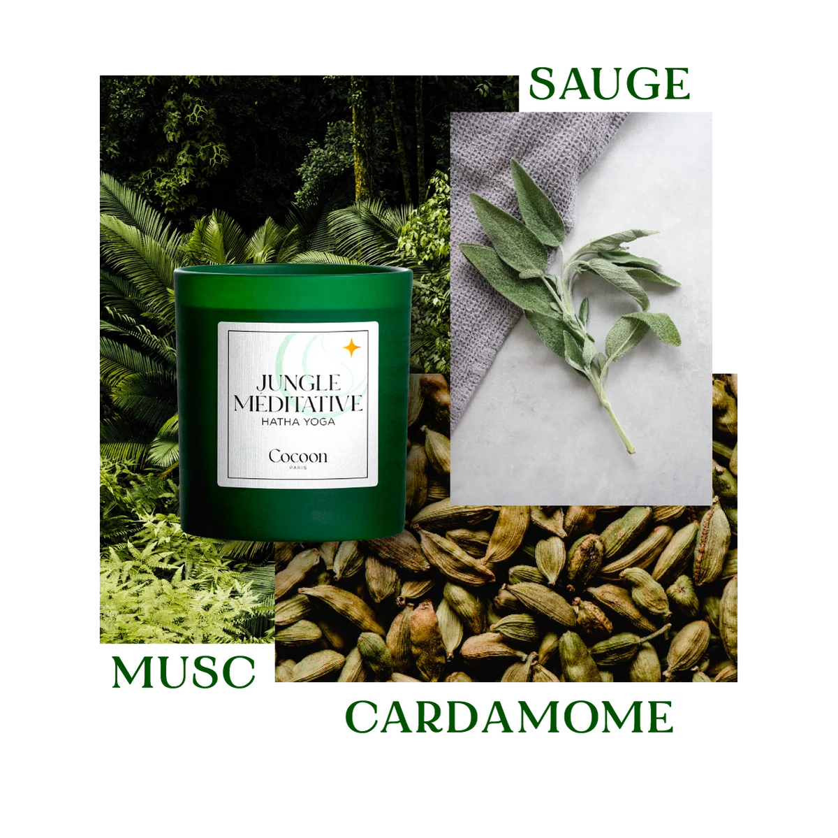 BOUGIE RELAXATION - JUNGLE MEDITATIVE