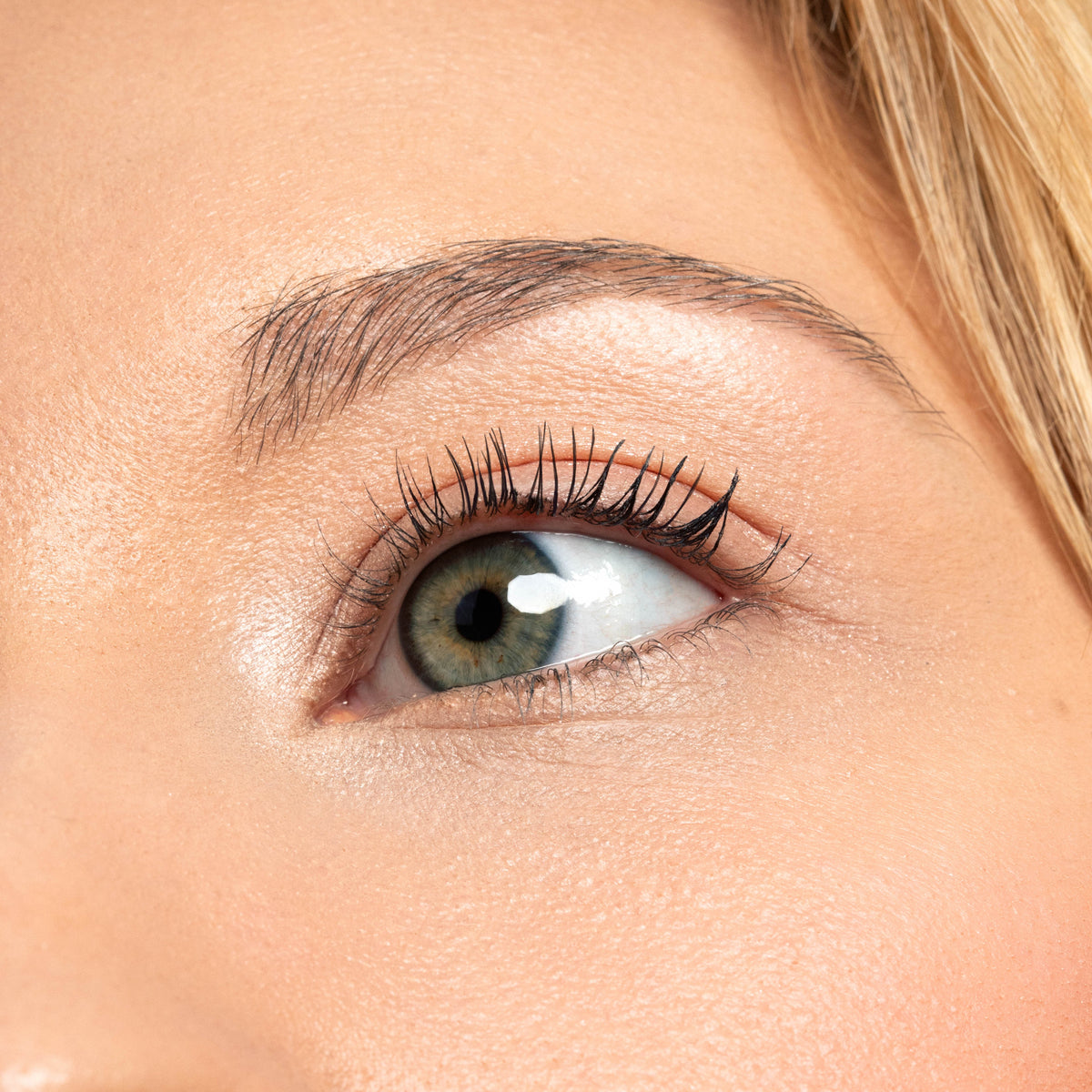 FEUTRE A SOURCILS I BROW PLUME PERFECTION