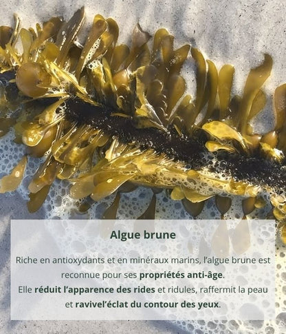 Anti-aging eye cream with brown algae