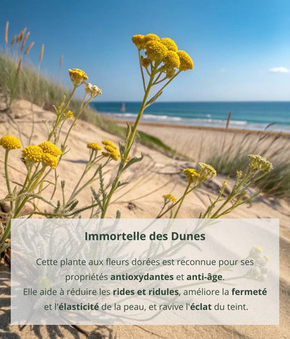 Dune Immortelle Anti-Aging Cream