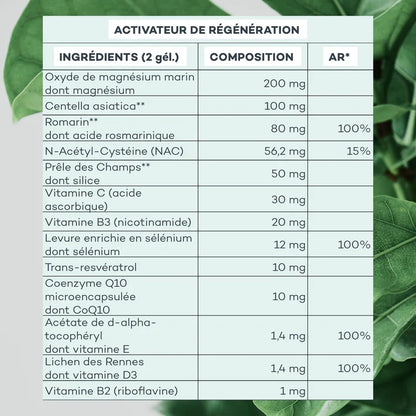 Programme Peau-Parfaite - Peau régénérée, purifiée et matifiée