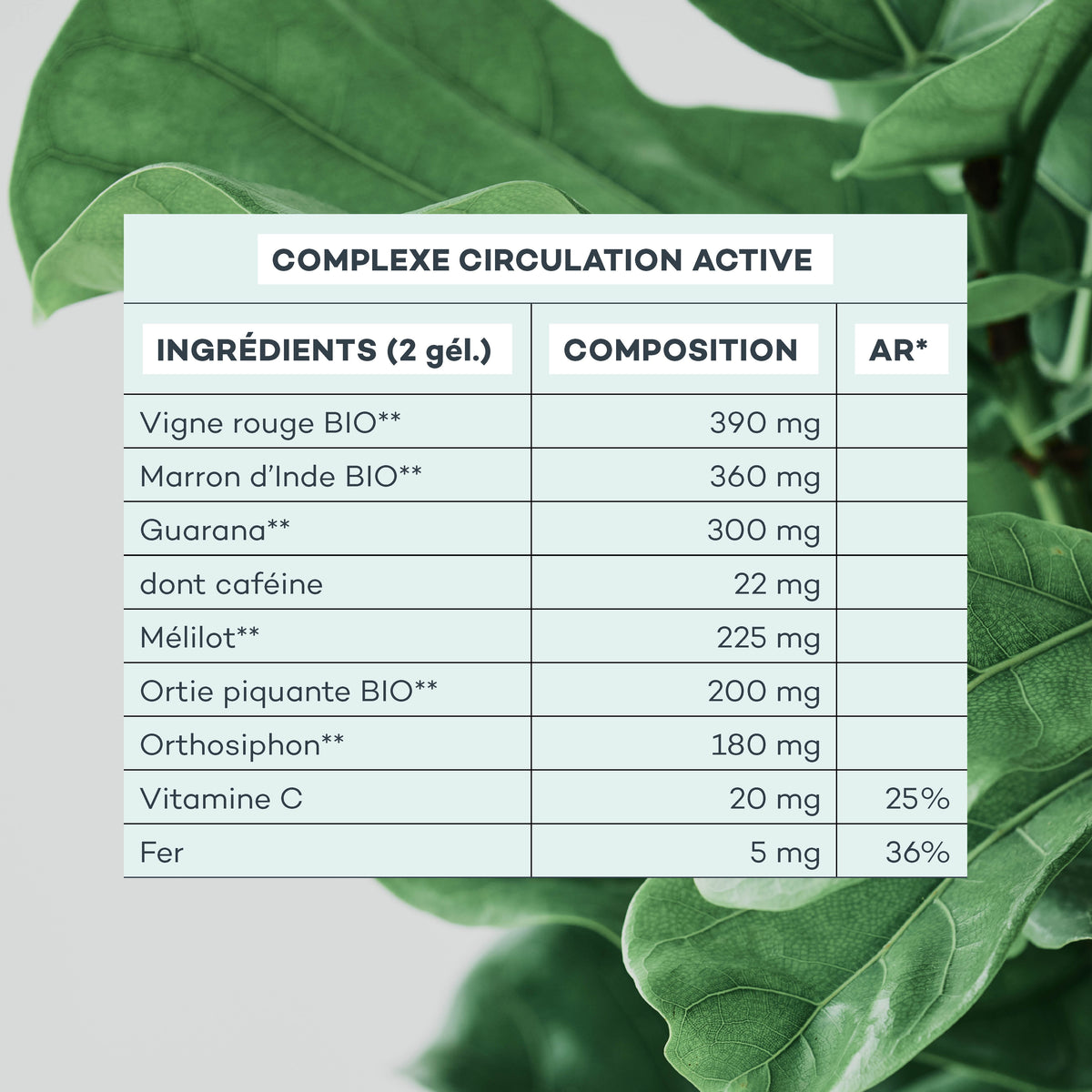 Complexe Circulation Active