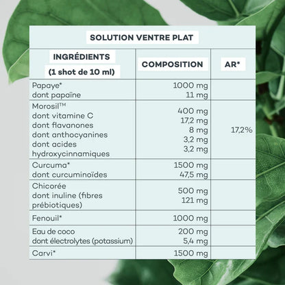 Solution Ventre-Plat
