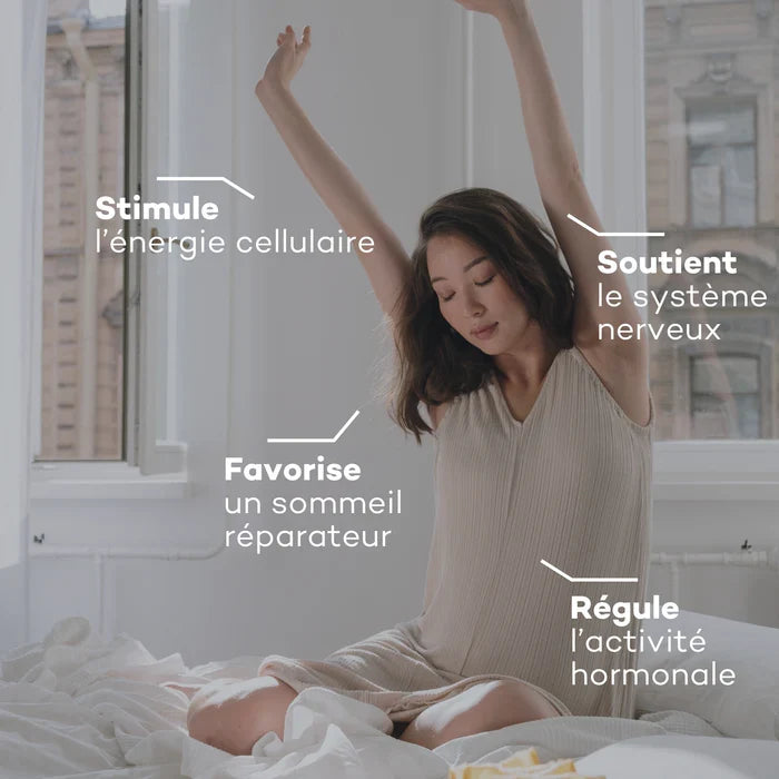 Activateur d’Équilibre - Régulation du Cortisol