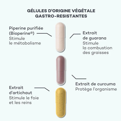 Programme Brûle-Graisses - Perte de poids globale