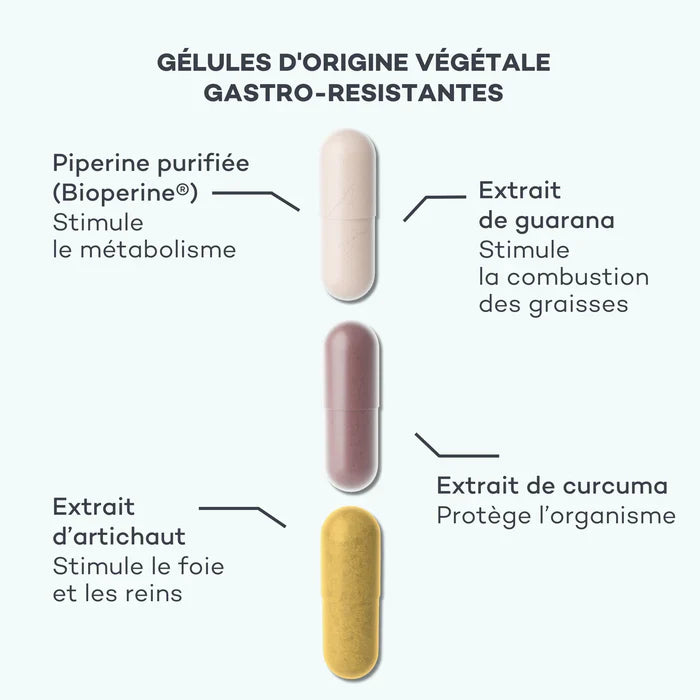 Programme Brûle-Graisses - Perte de poids globale