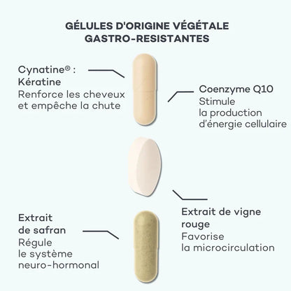 Programme Masse-Capillaire - Anti-chute & Redensifiant