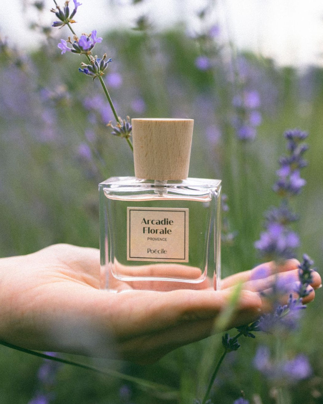 Arcadia Floral