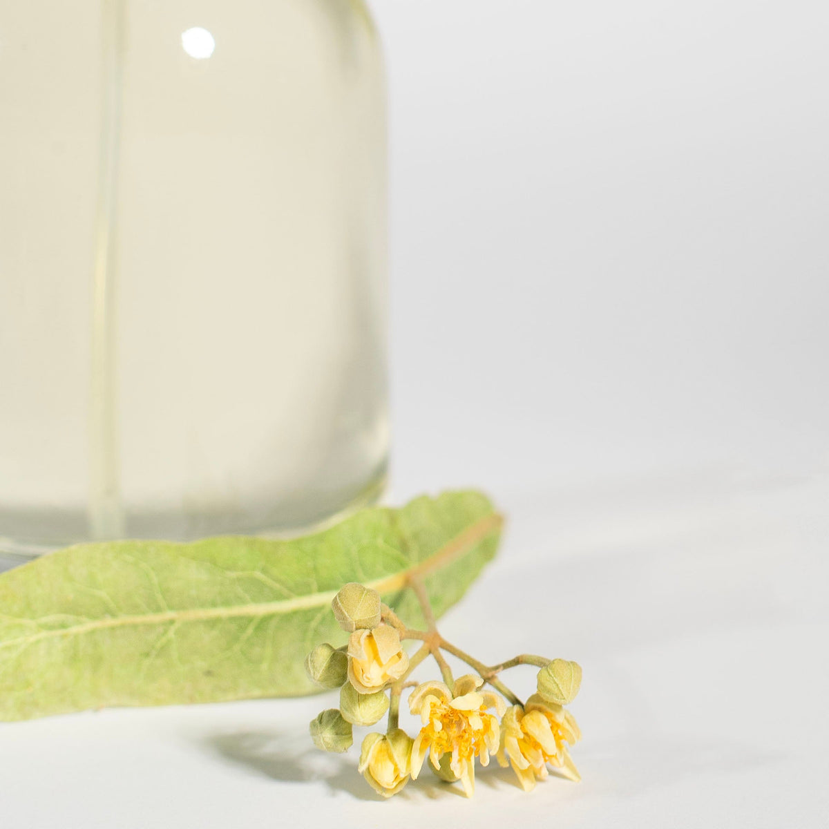 The Enchanting Oil