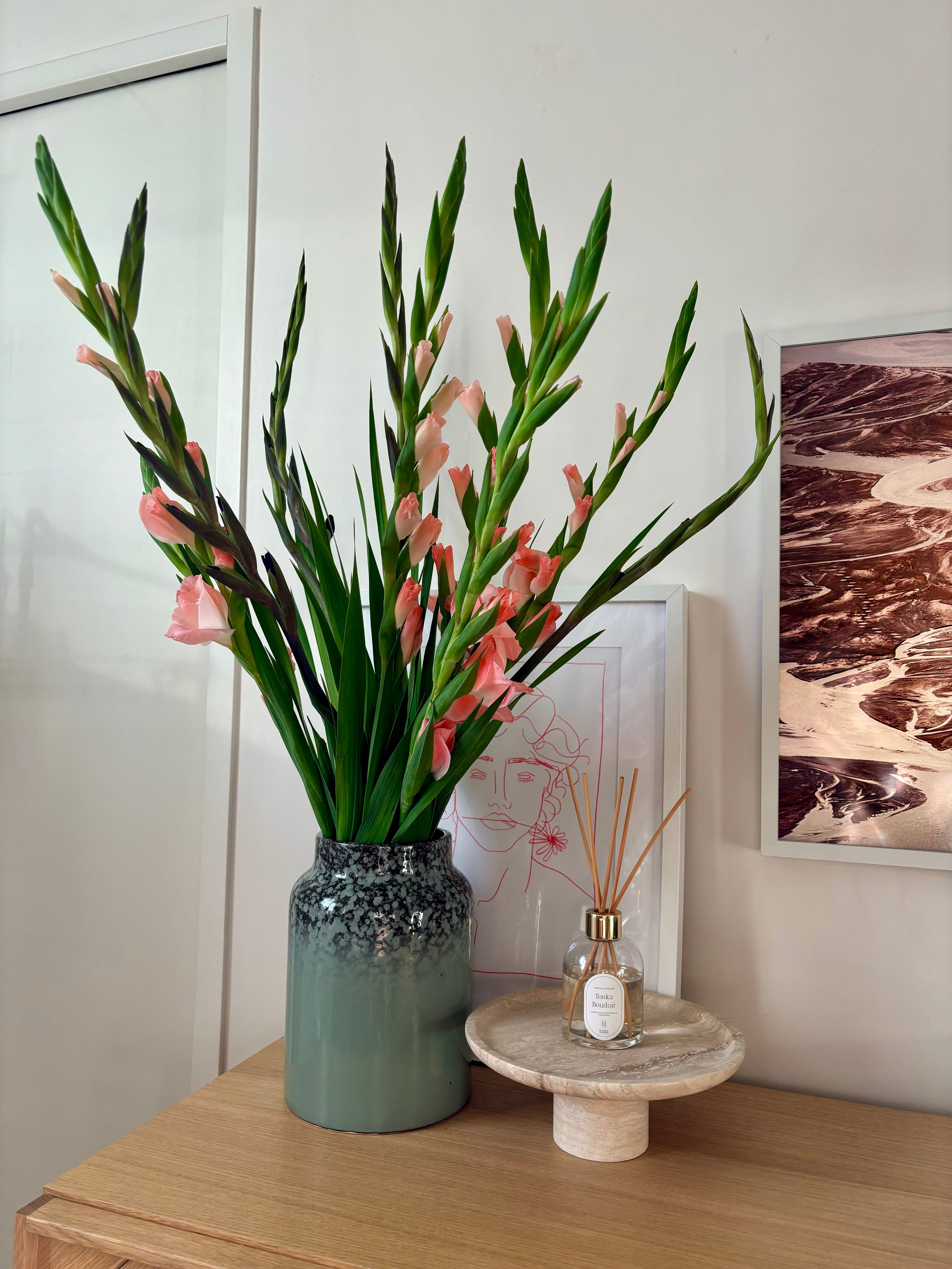Reed Diffuser - Tonka Boudoir