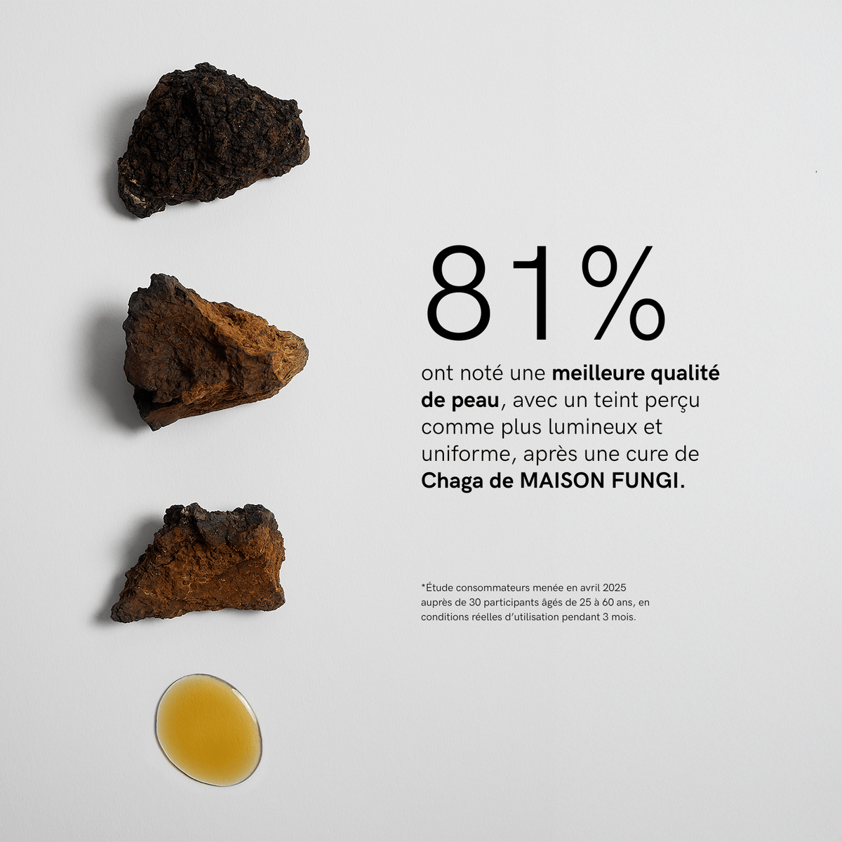 Organic Chaga Extract