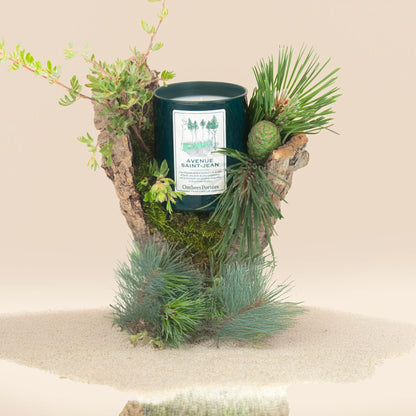 Scented Candle Avenue Saint-Jean 210g
