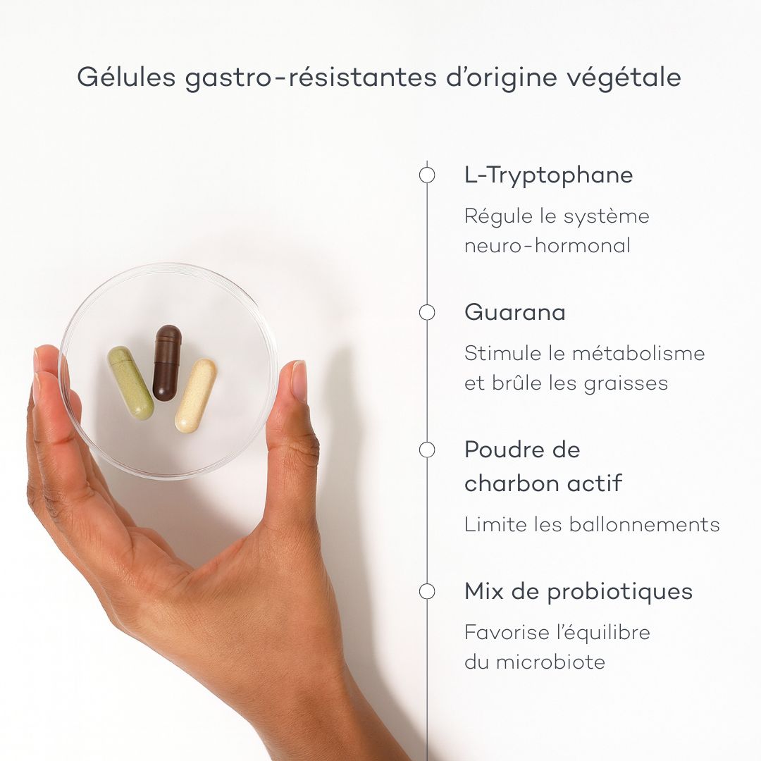 Programme Ventre-Plat