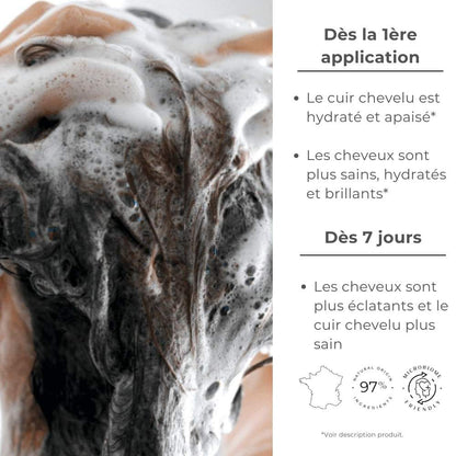 Silk Shampoo – Cleansing Treatment – 200ml – SILKBIOTIC