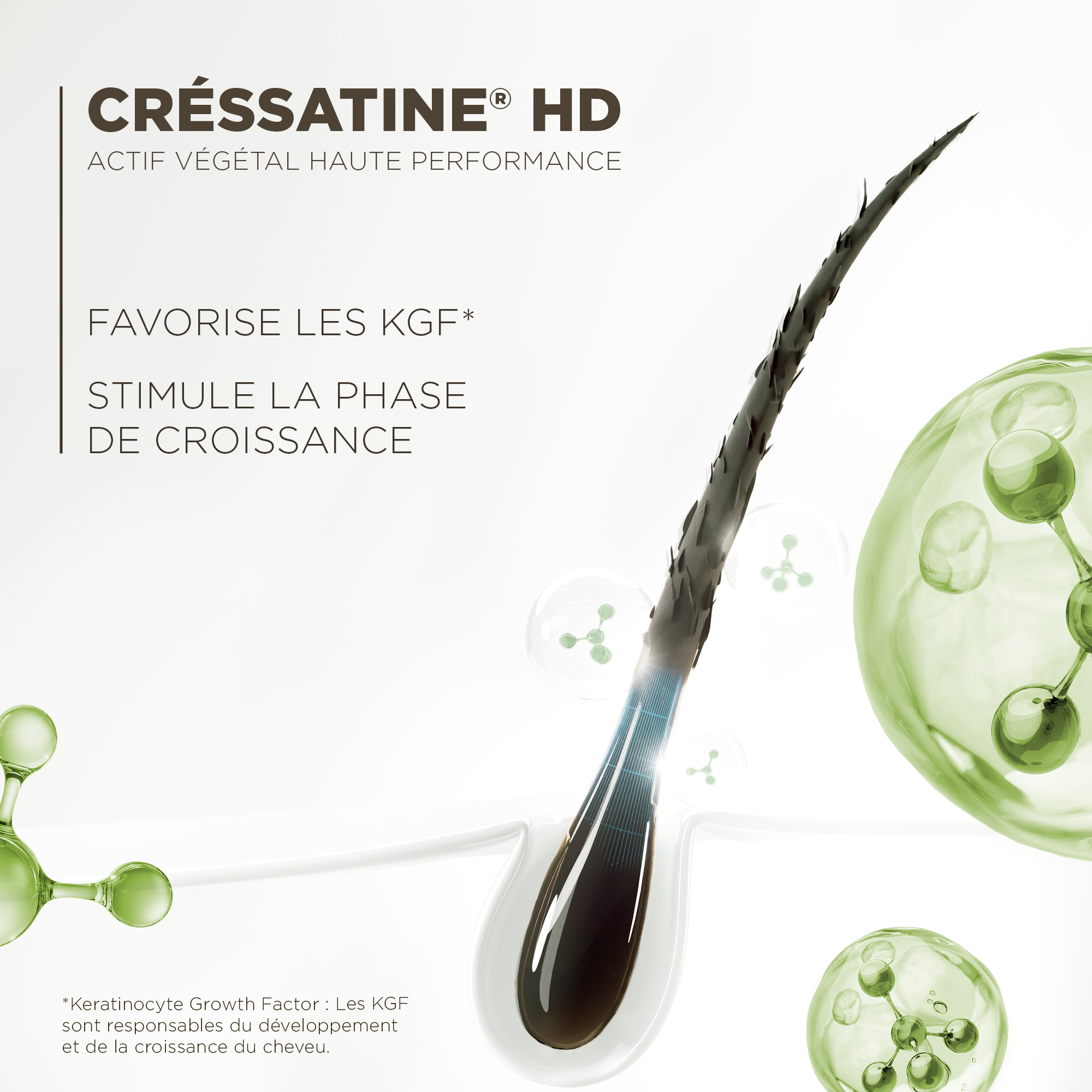 Black Eyelash Care Booster