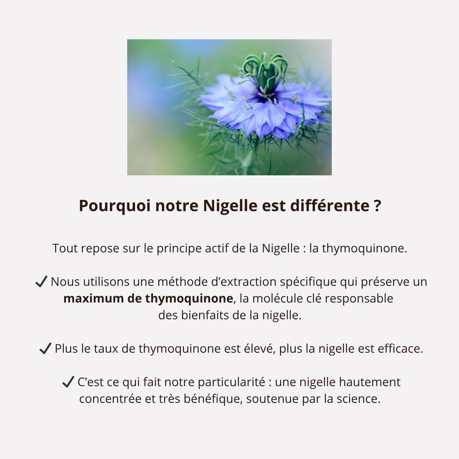Pack Pso - Nigelle titrée en thymoquinone