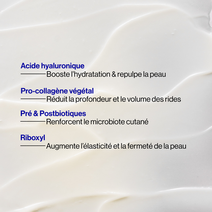 Crème de nuit régénérante prébiotiques