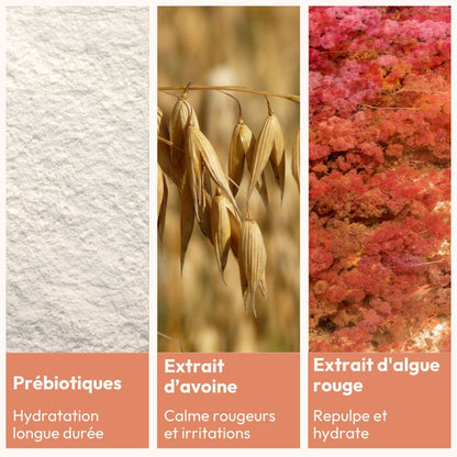 [MY] VELOUTÉ CORPS DOUCEUR