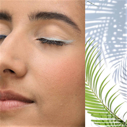 Eyeshadow | Silver Gray 301