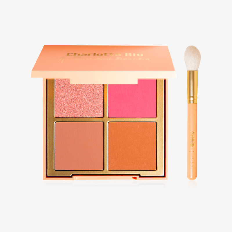 Duo healthy glow palette + brush