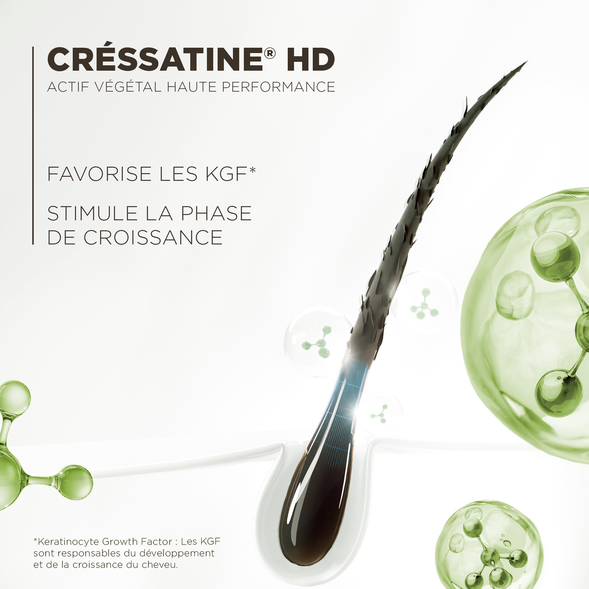 Le Booster - Soin Cils & Sourcils