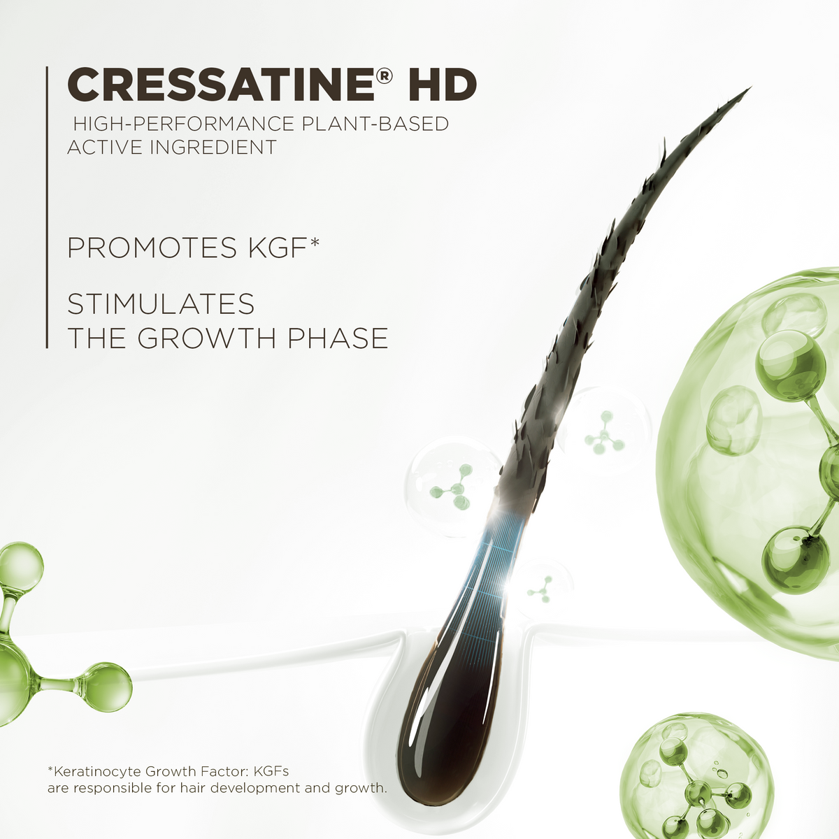 Le Booster - Soin Cils & Sourcils