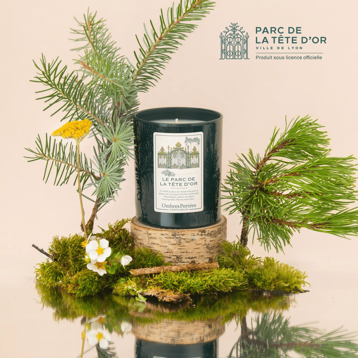 Scented Candle Le Parc de la Tête d'Or 210g