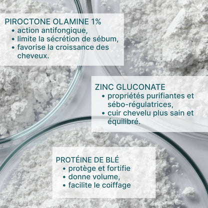 kit shampoing antipelliculaire (1 bouteille + 2 recharges)