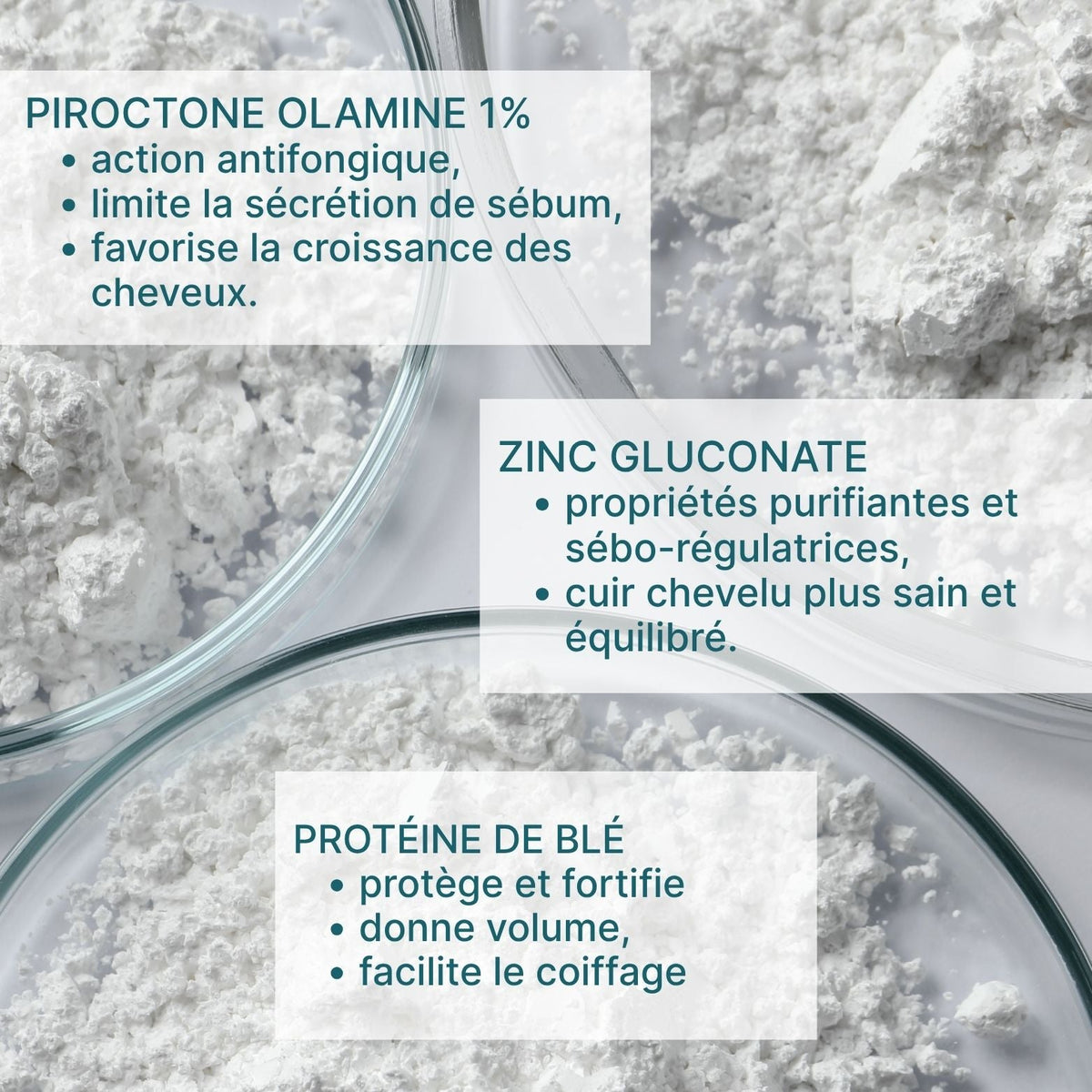 kit découverte shampoing antipelliculaire (1 bouteille + 1 recharge)
