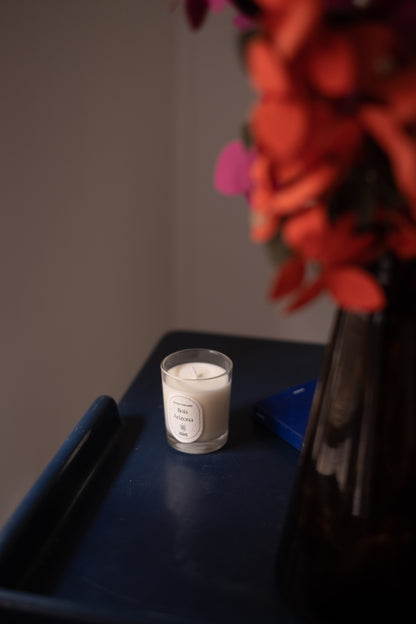 Mini Candle - Arizona Wood - 75g
