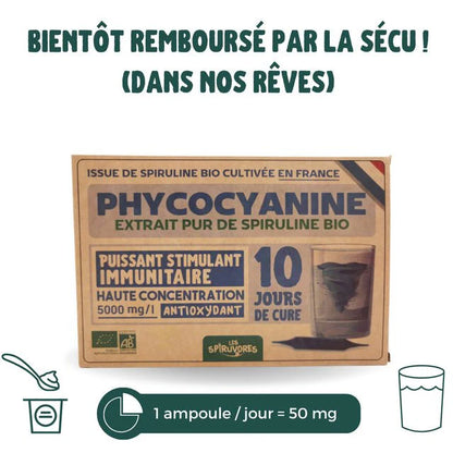 Phycocyanine Bio française et sans conservateur - 5000 mg/l - 10 ampoules