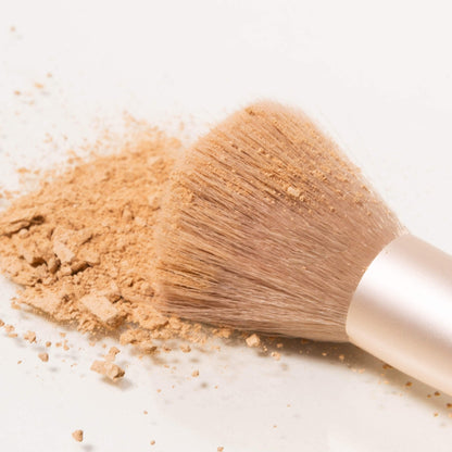 Compact powder brush