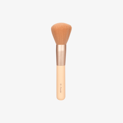 Compact powder brush