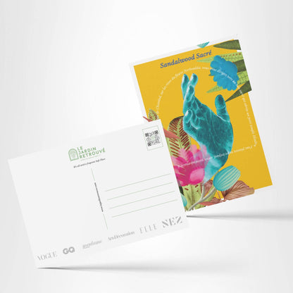 Set of 13 Postcards