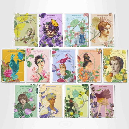 Set of 13 Postcards